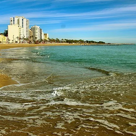 Barbiguera
